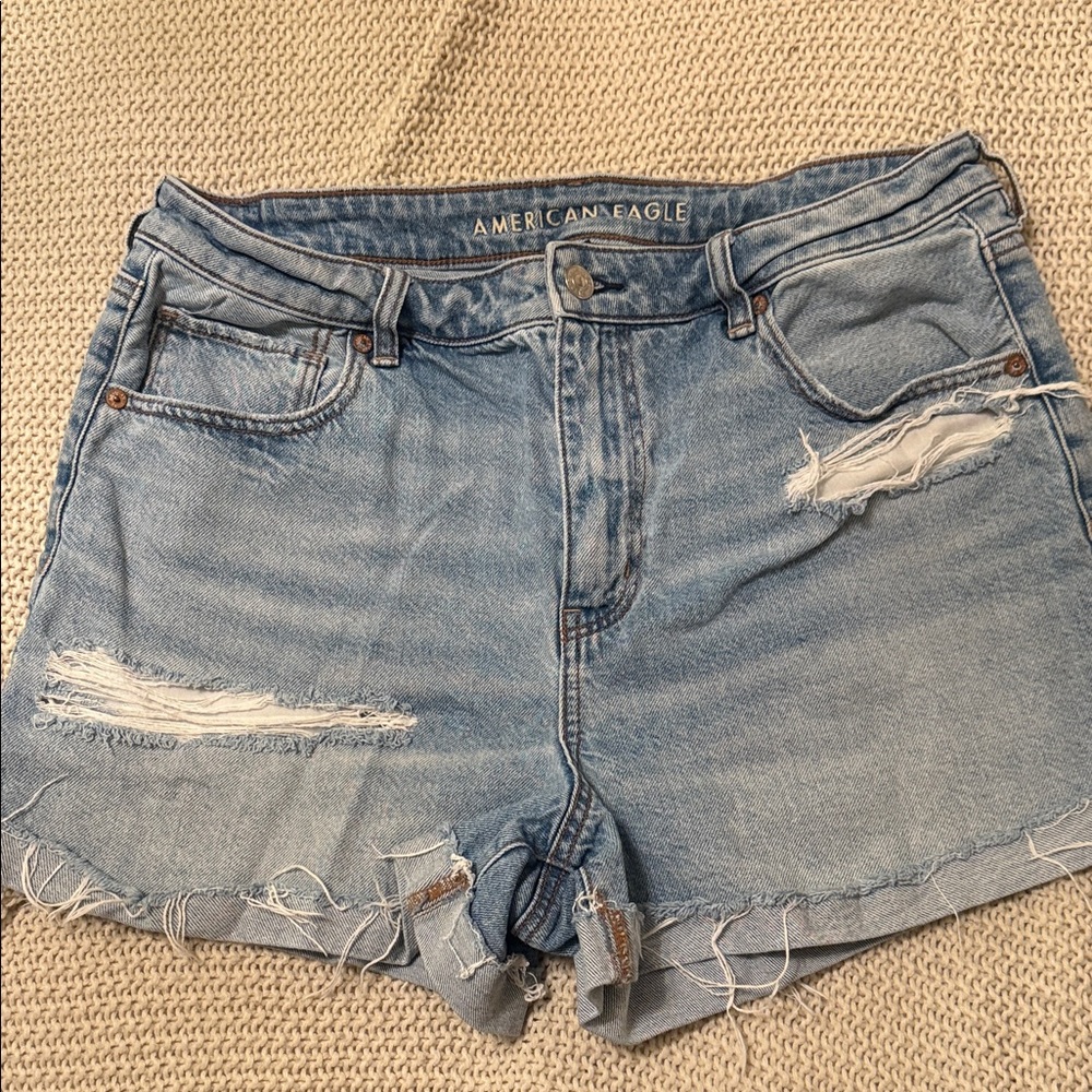 American Eagle Outfitters Light Blue Distressed Jean Shorts